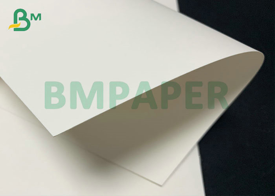 230gsm 250gsm White Laminated Cardboard For Cup Stock 882mm 1090mm