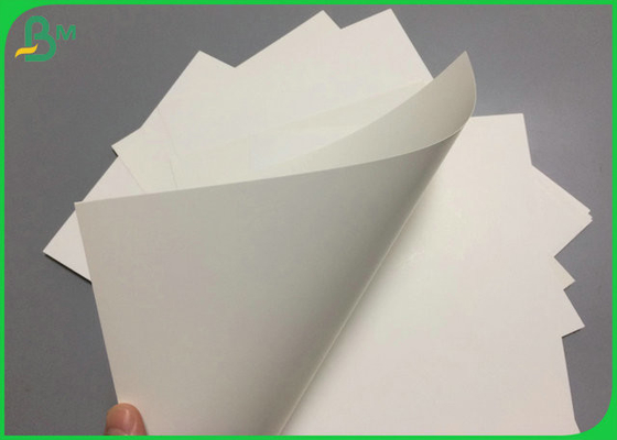 12PT 14PT 16PT Varnishable Cardboard White / White For Pharmaceutical Uses