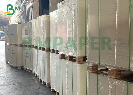 One Side Coated With Polyethylene Cupstock Paper 250gsm For Hot Food