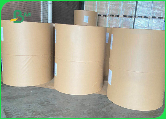 300gsm 320gsm Single PE Coated Paper For Drinking Cups 720 mm 930 mm