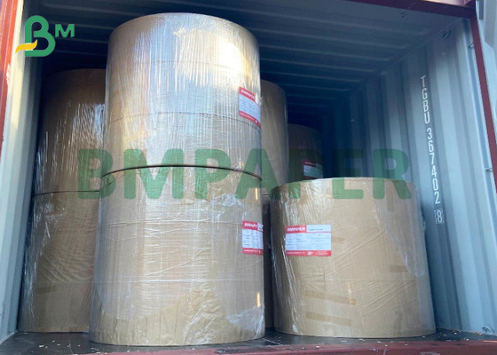 High Bulk Single 15 PE Coated Paper Board 160 - 300gsm Cup Paper Stock