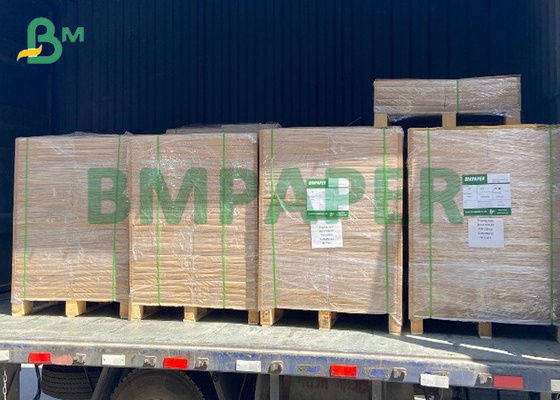 High Bulk Single 15 PE Coated Paper Board 160 - 300gsm Cup Paper Stock