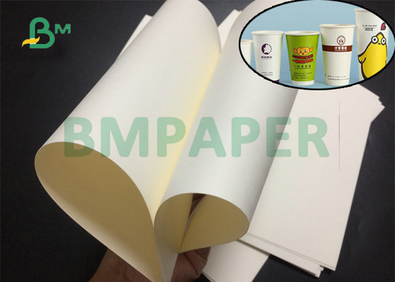 650mm 1000mm  190g 210g  +18g PE Coated White Cup Stock Paper For Water Drink Cup