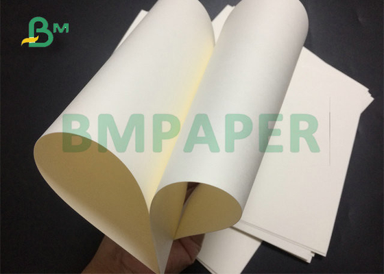 650mm 1000mm  190g 210g  +18g PE Coated White Cup Stock Paper For Water Drink Cup