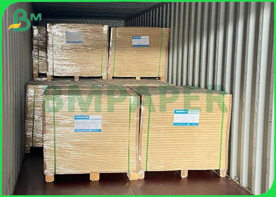 Food And Beverage Packaging Paperboard White Coated Food Board 325gsm