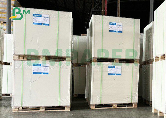 10PT 12PT 16PT GC1 Ivory Paper 700 x 950mm For Pharmaceutical Packing