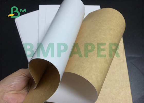 100% Food Grade 325gr 365gr Coated Kraft Paper Roll For Food Package Box Printed