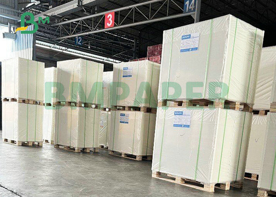 250gsm 270gsm Single Side Coated Ivory Paper For Packing &amp; Printing