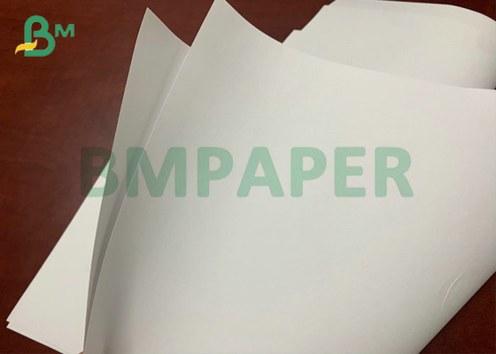 High Bright Woodfree Paper 48gsm 50gsm 53gsm In Reel 890mm Jumbo Roll