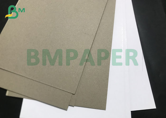 600gsm To 1300gsm High Thick White Top C1S Duplex Board Gray Back 72 * 102cm