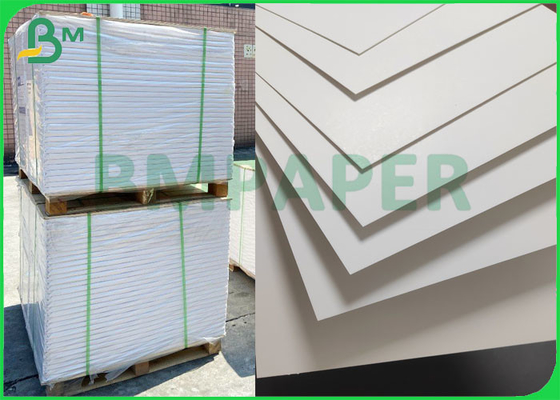 Raw Material SBS White Coated Paper FBB Board 350gsm for printing