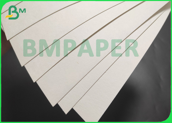 280gsm Poly Coated Cup Paper Material Single Or Double Poly Coating