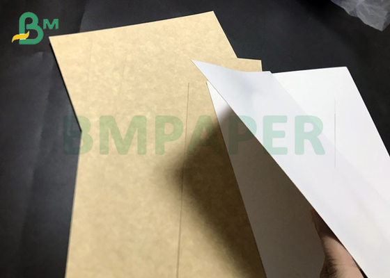 Food Grade 325gsm 360gsm High Bulky Coated Kraft Liner Paperboard Sheets