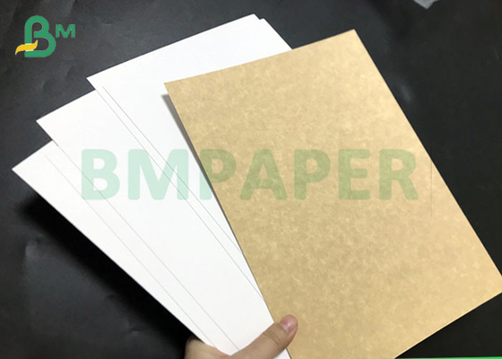 Food Grade 325gsm 360gsm High Bulky Coated Kraft Liner Paperboard Sheets