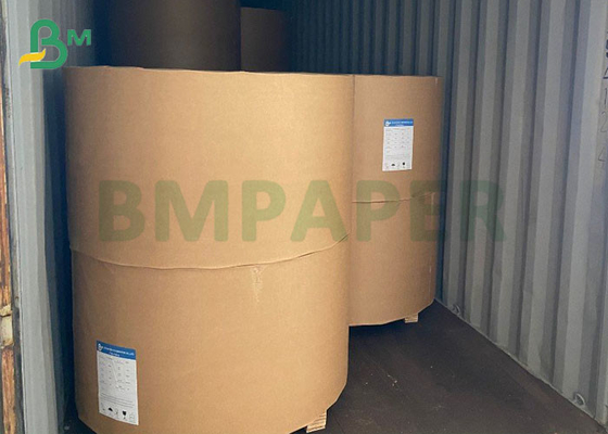 Jumbo Rolls 300gsm 400gsm coldpack gray back coated duplex paperboard