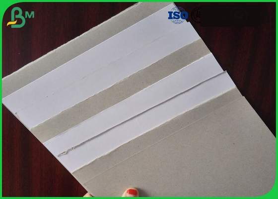 230gsm 250gsm Grey Back Duplex Board Single Side Coated 70 * 100cm