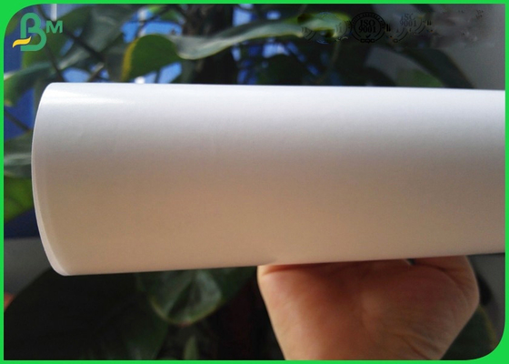 100 - 350gsm Coated C1s Art Paper For Books 25 * 36inch