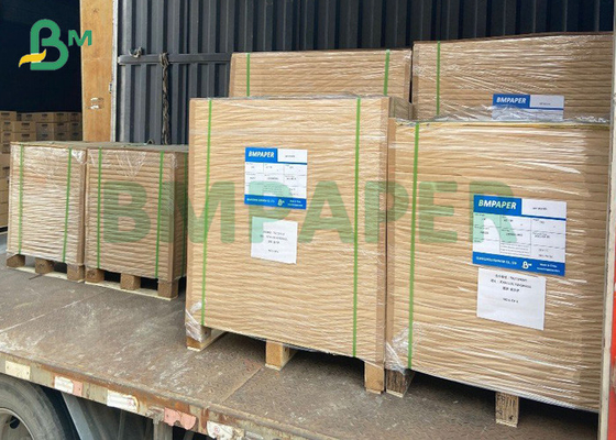 Single PE Coated Cupstock Paper GSM 220g 260g Rolls 910mm Width