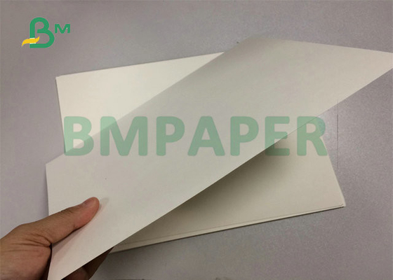 700 X 1000mm Uncoated 210gsm 230gsm White Cupstock Base Paper Sheet For Paper Cups