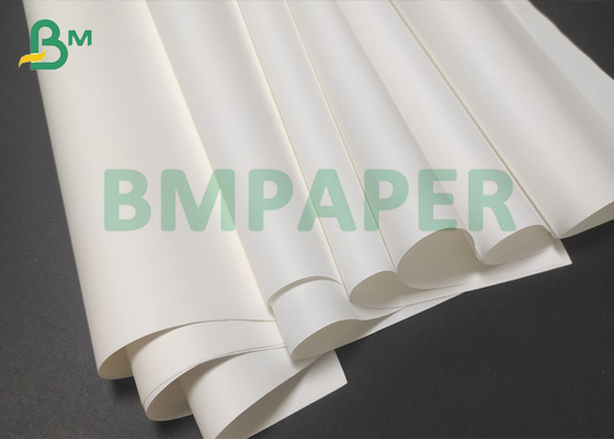 Natural White Color Lightweight Offset Bible Paper 40gsm in rolls