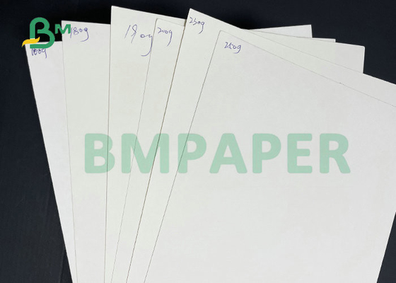 Eco - friendly 260GSM 270GSM White Bowl Paper With Single Side PE Coating