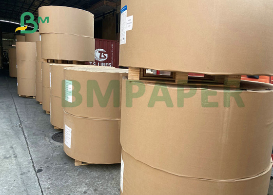 Food Grade 200gsm + 15gPE P1S Cup Paper 780MM 882MM Width In Reel