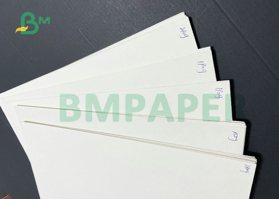 Food Grade 200gsm + 15gPE P1S Cup Paper 780MM 882MM Width In Reel