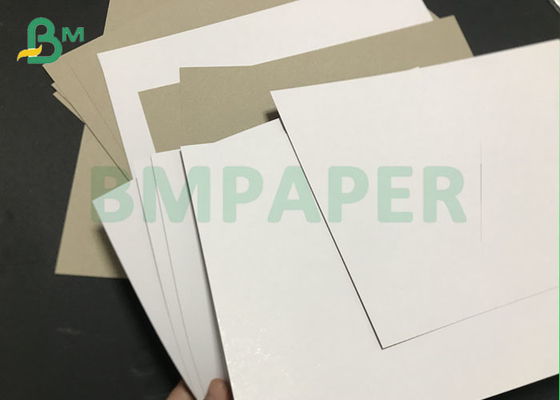 Jumbo rolls CCNB Claycoat 300gsm 450gsm Duplex Paper Board for packing