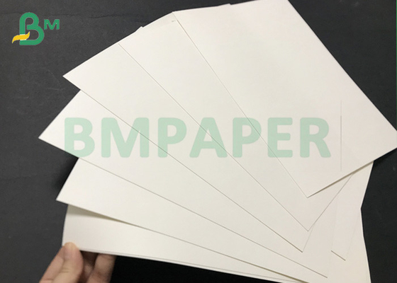 Single Side PE Layer Laminated White Cartons Roll For Beverage Cups Material