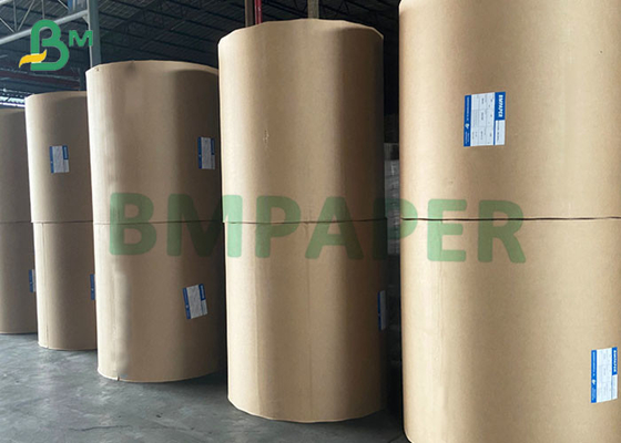 100gsm Woodfree Paper For Offset Printing Booklets And Brochures 650 x 1000mm