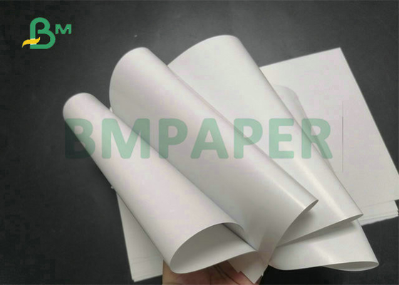 80gsm 90gsm 960mm, 990mm, 1060mm C2S Glossy Paper Roll For Offset Printing