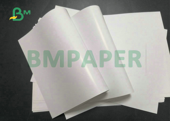 80gsm 90gsm 960mm, 990mm, 1060mm C2S Glossy Paper Roll For Offset Printing