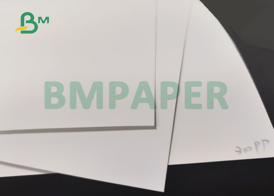 200um 300um Matte Non - Tear PP Synthetic Paper For Label Factory 500 x 570mm