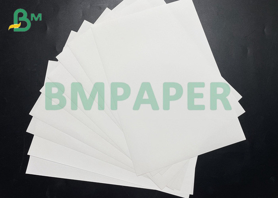 Tear Not To Break 250um PET Synthetic Paper Roll Package For Map