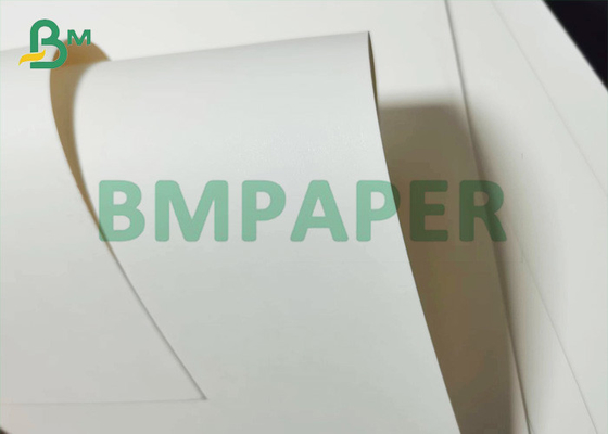 300g + 20g PE Single Side Coated Food Grade White Cup Stock Paper