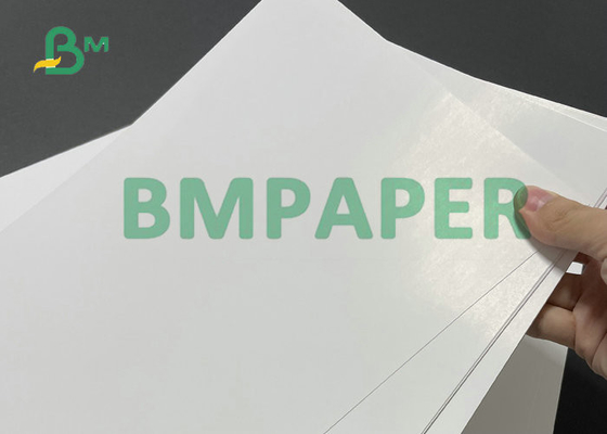 10PT 12PT C2S Cover Bright White 20x40inch For Brochures Printing