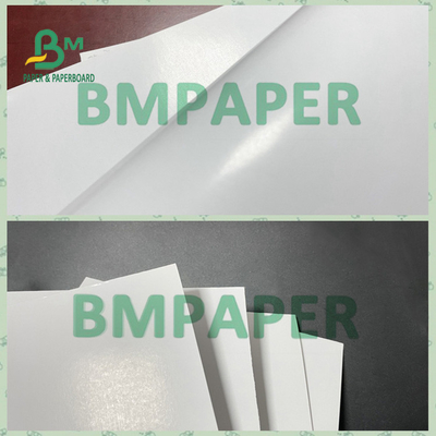 High Brightness Virgin Wood Pulp Glossy Coated Paper for B2B Buyers