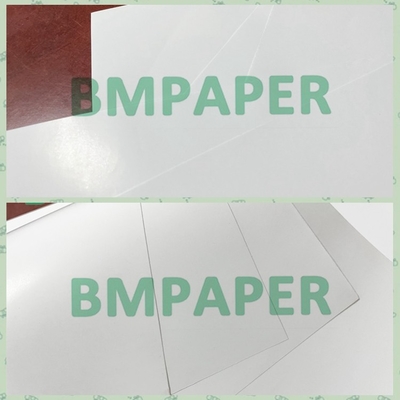 250g Excellent Printability Light Coated Paper For B2B Purchases