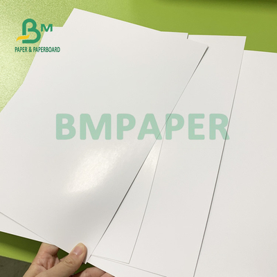 250gsm Good Printability Glossy Text Cover 610mm X 860mm High Brightness