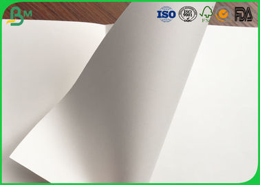 80gsm - 140gsm White Food Grade Paper Roll Smooth Surface For Food Tray Pallet