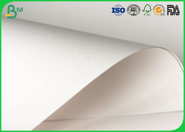 80gsm - 140gsm White Food Grade Paper Roll Smooth Surface For Food Tray Pallet