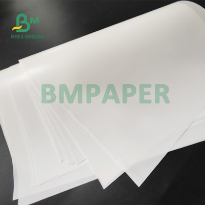 65gsm One Side Coated Gloss Paper For Beer Label  High Wet Strength 50 x 70cm