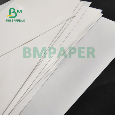 65gsm One Side Coated Gloss Paper For Beer Label  High Wet Strength 50 x 70cm