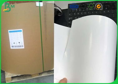 Jumbo Roll One Side Coated Ivory Board , 230gsm 250gsm C1S Ivory Board