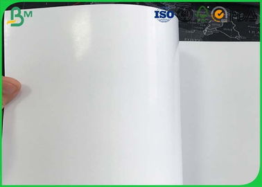 Jumbo Roll One Side Coated Ivory Board , 230gsm 250gsm C1S Ivory Board