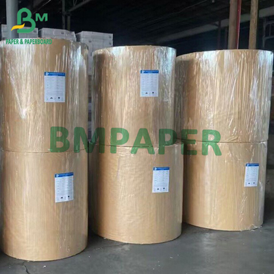 Biodegradable Kraft Cup Paper Roll Brown Bowl Paper 210g 230g 250g 280g 300g 350g