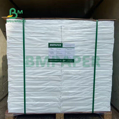 Anti Water 120gsm PP Synthetic Paper For Advertising Banner 57 x 29cm Durable