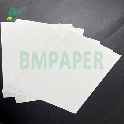 One Side Coated Glossy 100% Virgin Wood Plup Ivory Paper for Brochure