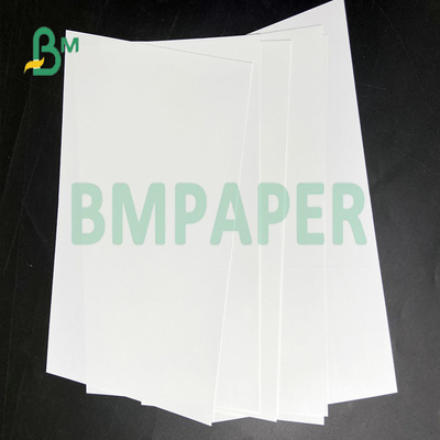 Waterproof Durable PP Synthetic Paper for Self-adhesive stamp