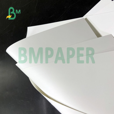 Waterproof Durable PP Synthetic Paper for Self-adhesive stamp